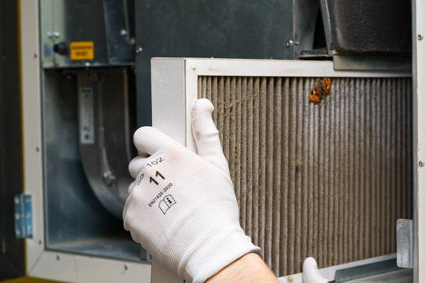 Best Dryer Vent Cleaning Services  in Deming, NM