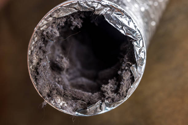 Best Air Vent Cleaning Services  in Deming, NM